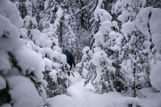 Viitna loodusõpperada, Lääne-Virumaal