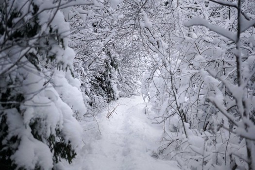 Viitna loodusõpperada, Lääne-Virumaal