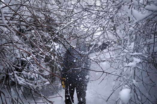 Viitna loodusõpperada, Lääne-Virumaal